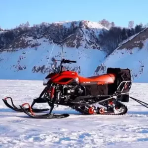 Аренда снегохода DINGO T150 на 1 сутки