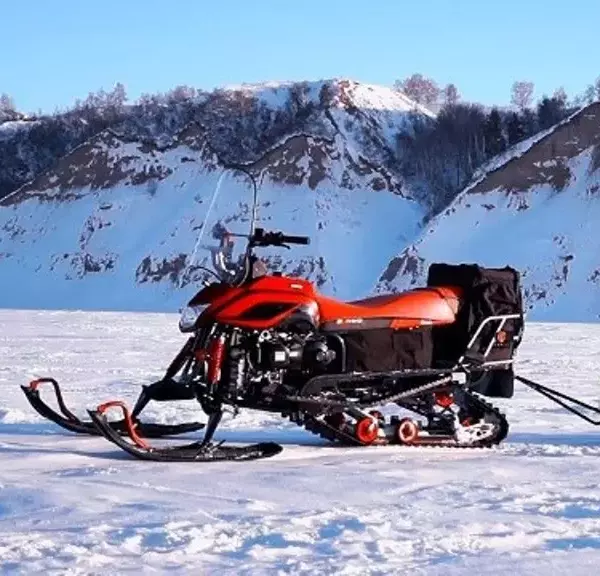 Прокат снегохода DINGO T150 - 1 час.